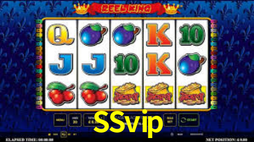 Premium Interface SSvip