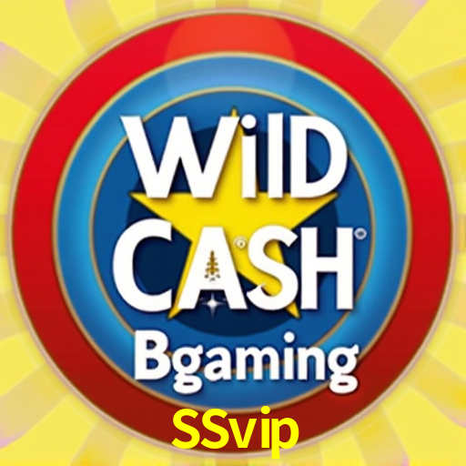 Sports Statistics SSvip